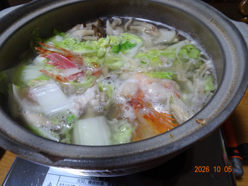 DSC07333.JPG