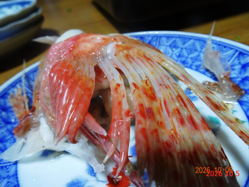 DSC07335.JPG