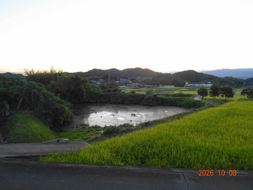 DSC07395.JPG