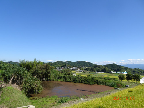 DSC07415.JPG