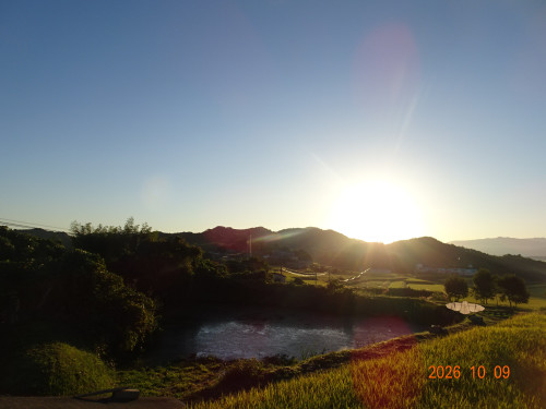 DSC07418.JPG