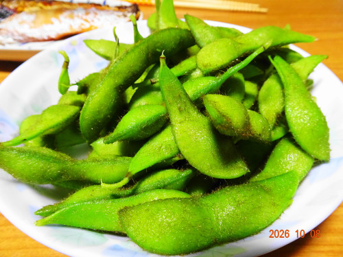 DSC07417.JPG