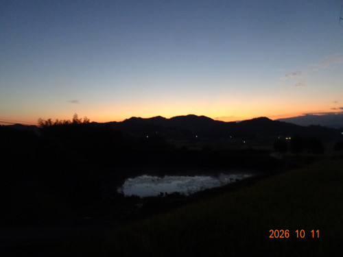 DSC07483.JPG