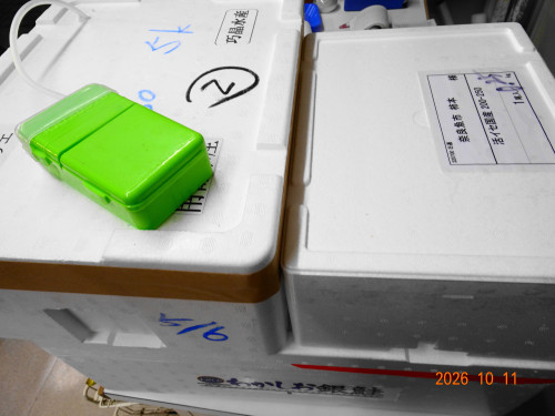 DSC07487.JPG