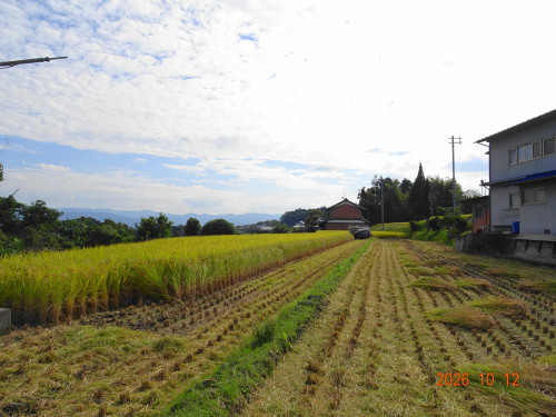 DSC07509.JPG