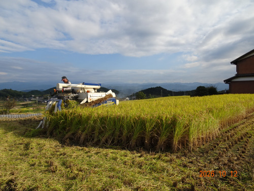 DSC07512.JPG