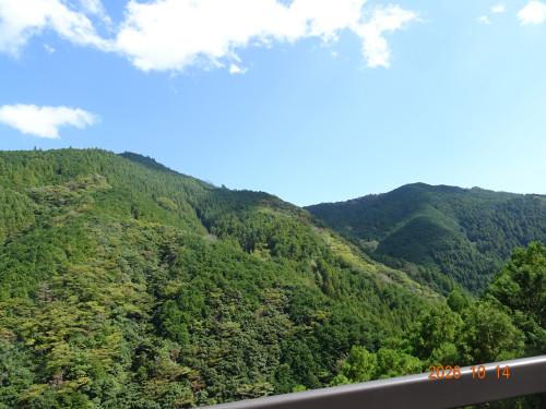 DSC07545.JPG