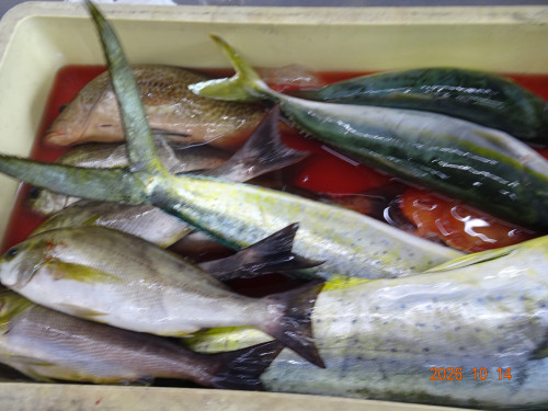 DSC07551.JPG