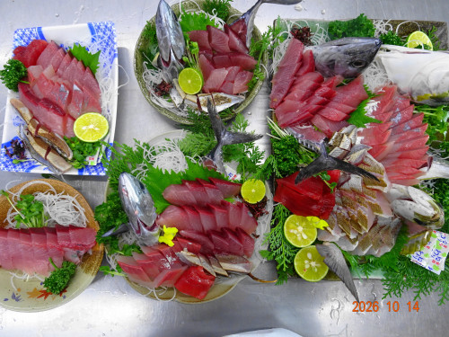 DSC07558.JPG