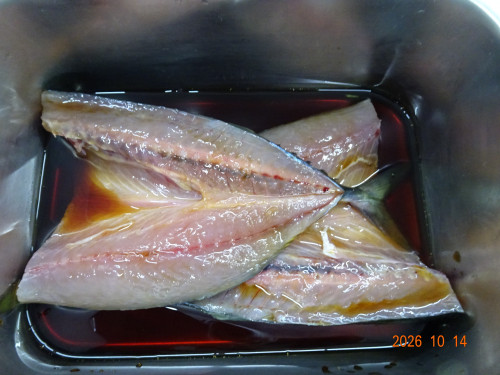 DSC07562.JPG