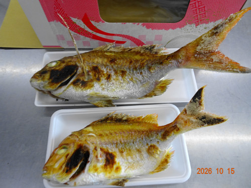 DSC07581.JPG