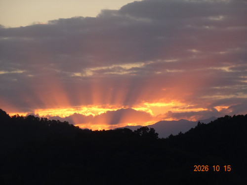 DSC07575.JPG