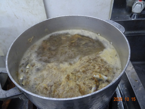 DSC07576.JPG