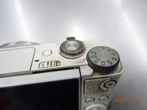 DSC07490.JPG