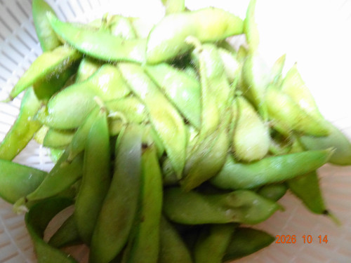DSC07568.JPG