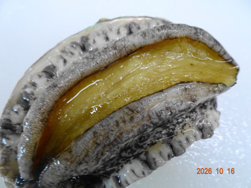 DSC07504.JPG