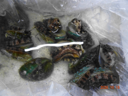DSC07510.JPG