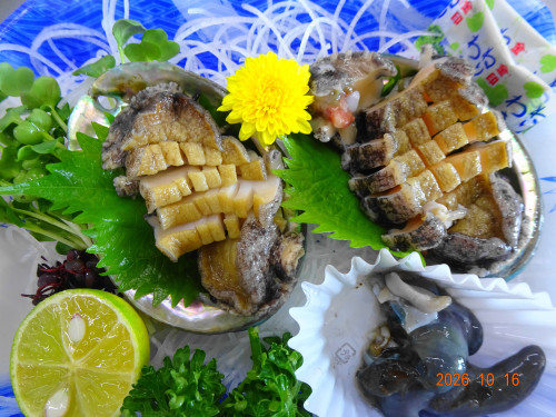 DSC07514.JPG