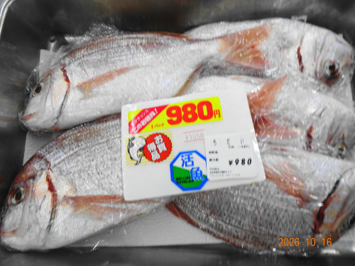 DSC07506.JPG