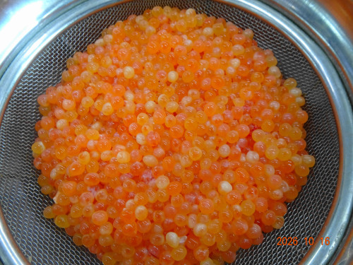 DSC07519.JPG