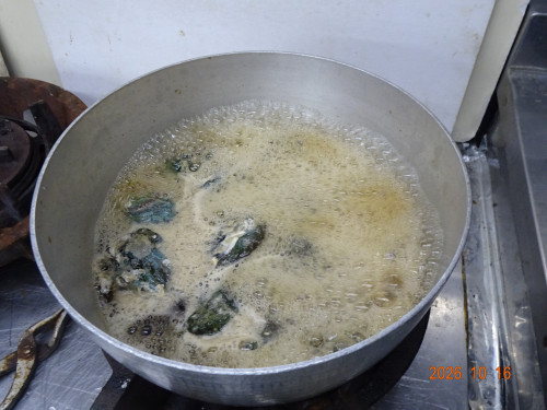 DSC07528.JPG