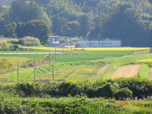 DSC07537.JPG