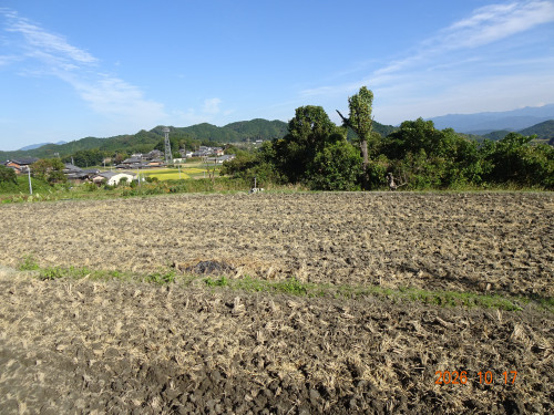 DSC07544.JPG
