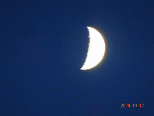 DSC07554.JPG
