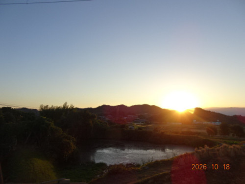 DSC07569.JPG