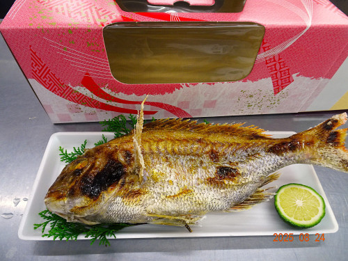 DSC06798.JPG