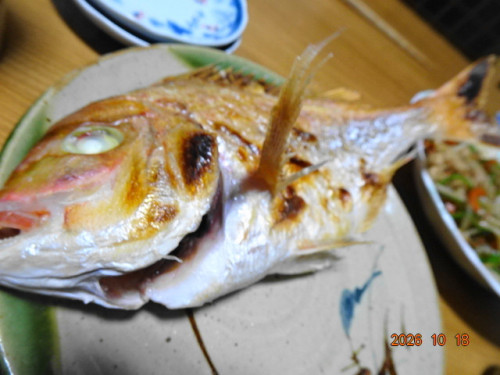 DSC07584.JPG