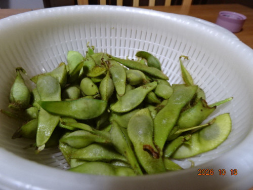 DSC07582.JPG