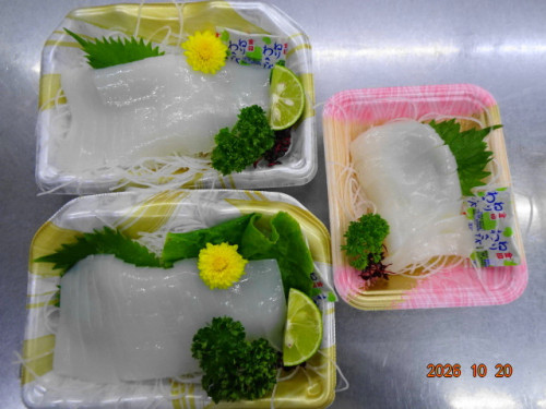 DSC07611.JPG