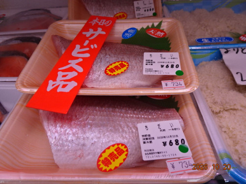 DSC07627.JPG