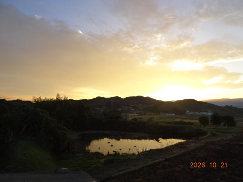 DSC07638.JPG