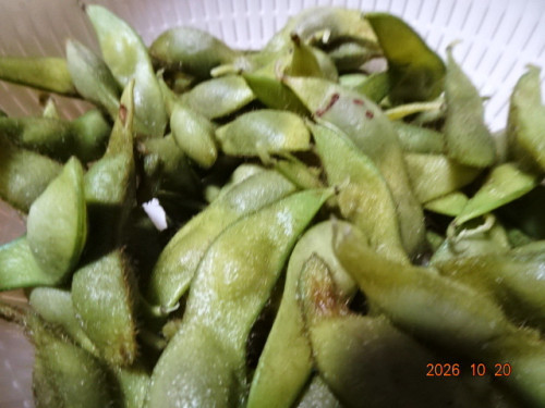 DSC07634.JPG