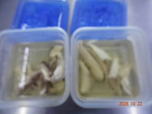 DSC07664.JPG