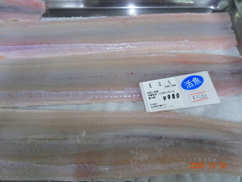 DSC07674.JPG