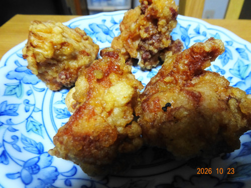 DSC07695.JPG