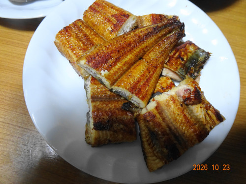 DSC07693.JPG