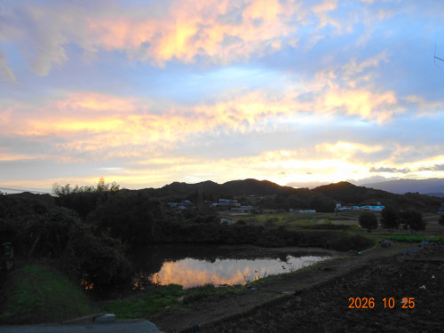 DSC07722.JPG