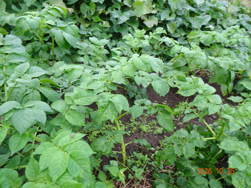 DSC07733.JPG