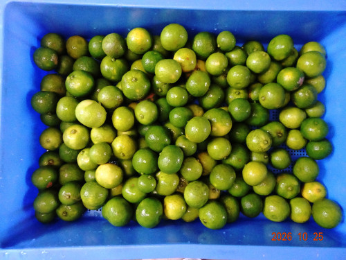 DSC07760.JPG
