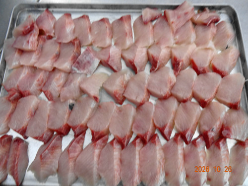 DSC07784.JPG