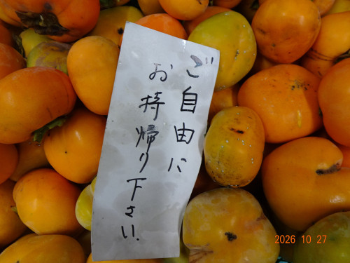 DSC07803.JPG