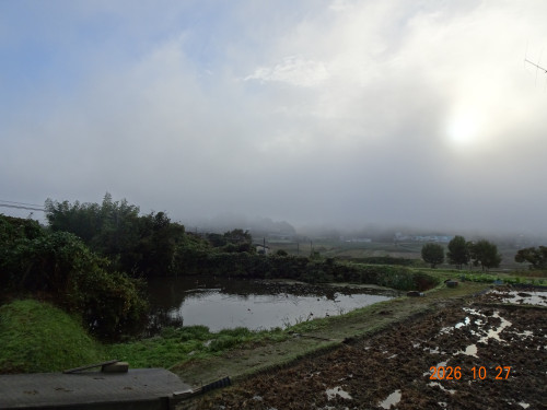 DSC07821.JPG