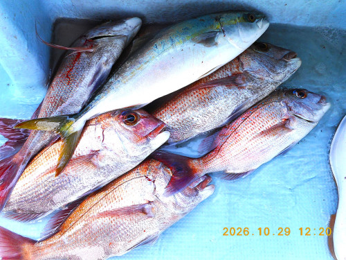 DSCN9586.JPG