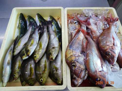 DSC07843.JPG