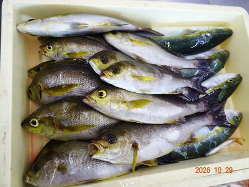 DSC07845.JPG