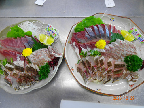 DSC07850.JPG